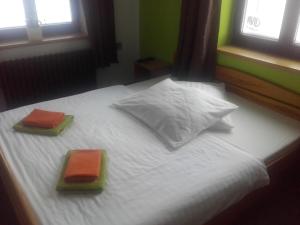 Un pat sau paturi într-o cameră la Hotel Anna
