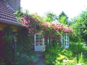a bunch of pink flowers on the side of a house at Ferienwohnung Diena - Unterkunft mit toller Ausstattung und zwei Terrassen in Tarp +14 photos