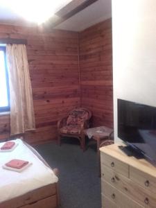 Zimmer mit einem TV und einem Schlafzimmer mit Holzwänden in der Unterkunft Hotel Anna in Harrachov