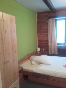 a bedroom with a bed and a window at Hotel Anna in Harrachov