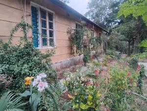 a garden in front of a house with flowers at River View Guest Rooms in Vythiri
