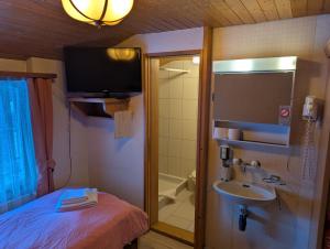 a small bathroom with a sink and a shower at Hotel Schützen Lauterbrunnen in Lauterbrunnen +63 photos