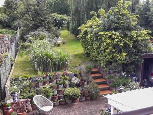 ein Garten mit vielen Topfpflanzen in der Unterkunft Ferienwohnung mit großem Balkon in Bömitz in Bömitz