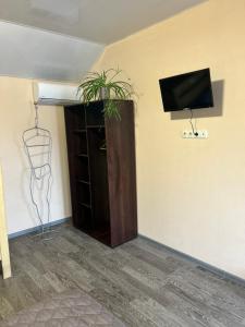 a room with a tv and a plant on a wall at Зелений двір in Vapnyarka