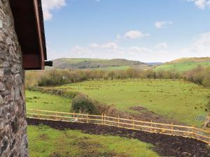 a view from a window of a field with cows at Teifi Cottage - Uk49590 in Llansawel +10 photos
