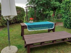 a picnic table with a blue table cloth on it at Ferienwohnung Zum Seeblick in Dahmen