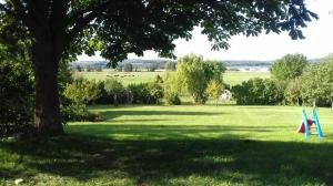 a park with a tree and a playground at Ferienwohnung Zum Seeblick in Dahmen