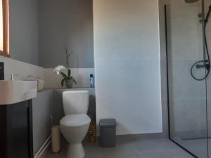 a bathroom with a toilet and a sink and a shower at Beneport Peipsi Guest House in Mehikoorma