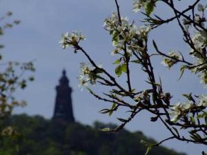a tower in the distance with a tree with white flowers at Ferienhaus Hofmann Hainrode in Hainrode
