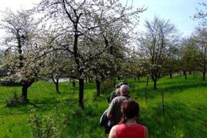 a group of people walking through a field with trees at Ferienhaus Hofmann Hainrode in Hainrode +22 photos