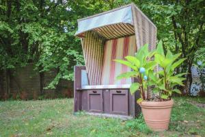 a out house with a potted plant in a yard at Kölp - Wald und Mee h r in Kölpinsee