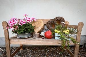 a wooden bench with flowers and other plants on it at Kölp - Wald und Mee h r in Kölpinsee