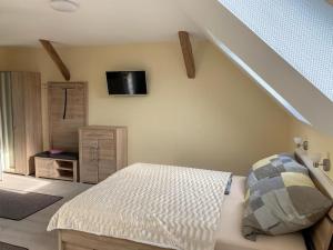 a bedroom with a bed and a tv on the wall at Pension Mochow in Schwielochsee