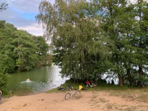 a bike parked on the beach next to a lake at Pension Mochow in Schwielochsee