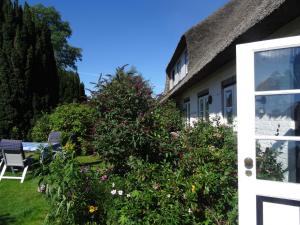 a house with a flowering bush in the yard at Luckow Georg Asmussen Haus in Pommerby