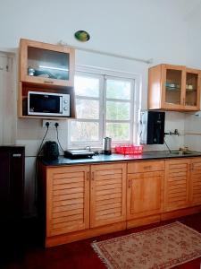 a kitchen with wooden cabinets and a microwave at Kukus nest blue in Jāmb