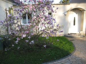 a tree with purple flowers in front of a house at Dresden, Ferienhaus Strietzel in Dresden