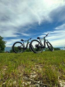 two bikes parked in a field of grass at Ca Vecia in Gargnano