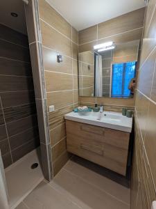 a bathroom with a sink and a mirror at Au Bois Dormant B&B in Tillé +31 photos