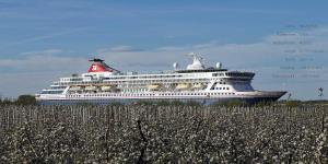 a cruise ship is docked next to a field of flowers at Ferienwohnung Rudis Obstgarten in Jork