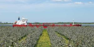 a large red ship in a field of crops at Ferienwohnung Rudis Obstgarten in Jork