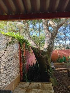 a mural of a tree on the side of a building at Chalé da Estação in Carrancas