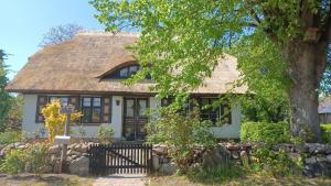 a cottage with a thatched roof and a tree at FW Im grünen Weg in Wustrow