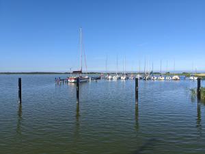 a group of sailboats are docked in the water at FW Im grünen Weg in Wustrow