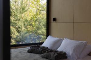 a bed with a large window in a bedroom at Dvoye in Vodniki