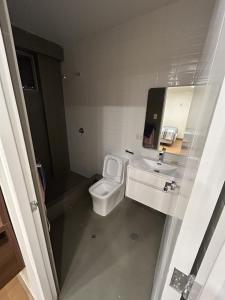 a bathroom with a toilet and a sink at Luxury apartment with park views in Huancavelica