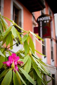 Eine rosa Blüte an einem Busch, im Hintergrund ein Gebäude in der Unterkunft Hotel Torrepalacio in Proaza