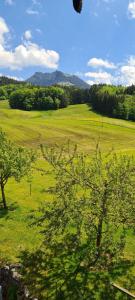 a green field with trees and mountains in the background at Maria Schnitzenbaumer in Fischbachau
