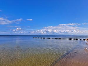 a beach with a pier in the water at Ferienzimmer Gleißner in Ahlbeck +17 photos