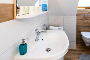 a white bathroom with a sink and a toilet at Bauernhaus Wohnung 1 in Bojendorf