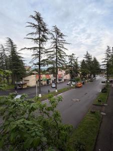 an empty street with trees on the side of the road at Amazing flat in the best location in Tsqaltubo