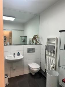 a white bathroom with a toilet and a sink at Wohnen am St Johanner Markt in Saarbrücken