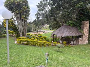 a garden with a small hut in the grass at The Cozy Corner House in Durban