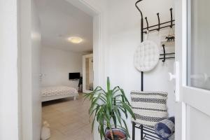 a living room with a plant and a hallway at Gemütliche Einliegerwohnung in Gomadingen