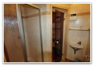 a bathroom with a shower and a sink at HAUS MUeRITZBRISE _ OG_Fewo in Klink