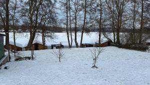 a snow covered field with trees and a house at FEWO Am Haussee Feldberger Seenlandschaft in Feldberg +23 photos