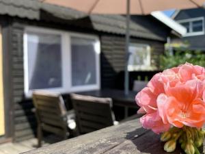 a pink flower sitting on a table in front of a house at Ferienhaus Muckelbude in Bedekaspel