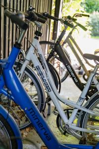 a group of bikes parked next to a fence at B&B Hof Van Straeten in Jabbeke