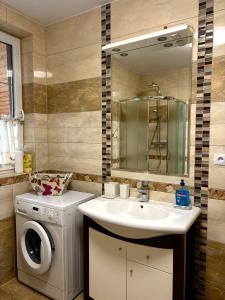 a bathroom with a washing machine and a sink at Domek Gierczyn 16 in Gierczyn +14 photos