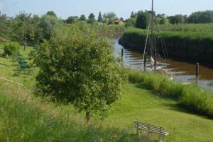 a park bench sitting in the grass next to a river at Ferienwohnung Nachbars Garten in Grünendeich