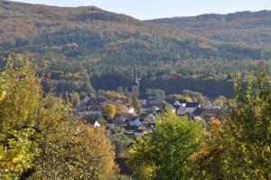 a small town in the mountains with trees at FEWO Geisbergblick in Zeegendorf +22 photos