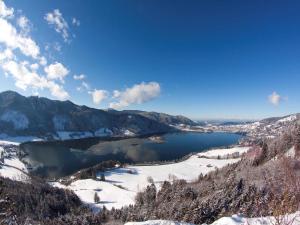a view of a lake in the mountains in the snow at Landhaus SeenSucht in Schliersee +14 photos