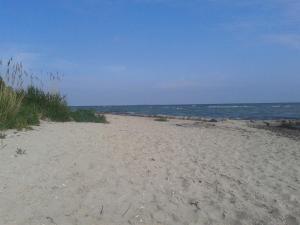 a sandy beach with the ocean in the background at Appartements Villa Drachenberg in Sassnitz