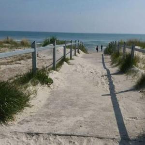 a path to the beach with a person walking on it at Appartements Villa Drachenberg in Sassnitz