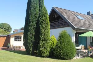 a large tree in front of a house at Thiessen - Ferienwohnung mit sonnigem Balkon in Silberstedt