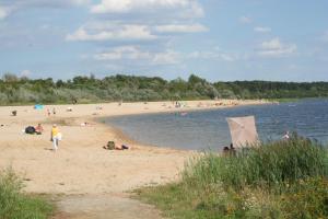 a group of people on a beach near the water at Ferienwohnung Penthaus ILSE in Großräschen